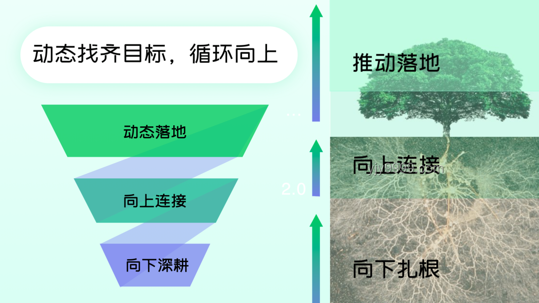《反方向の扶贫》：逆向思维助力贫困地区自我发展实用指南